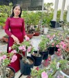 Nguyễn Bảo Châu