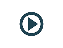 Hoạt động 26/3/2025